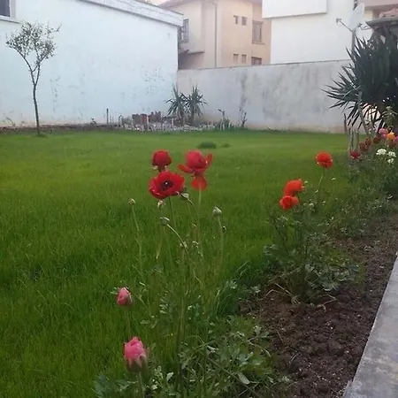 Guest house Sofia 8 *